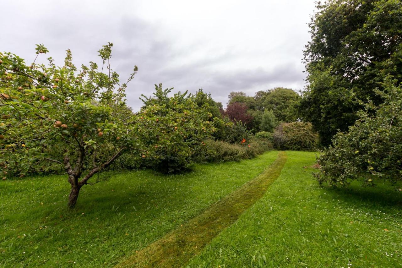 Kittiwake Cottage Braunton Exterior foto